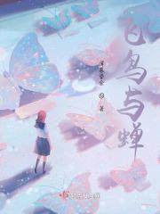 飞鸟与蝉铃声免费