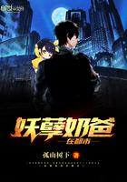 叶辰苏雨涵免费txt